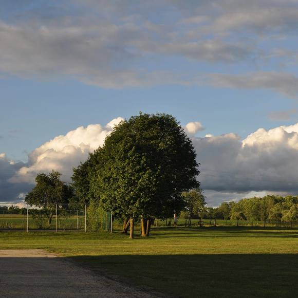 Meet your Posher, Isela - Picture 1 of 1